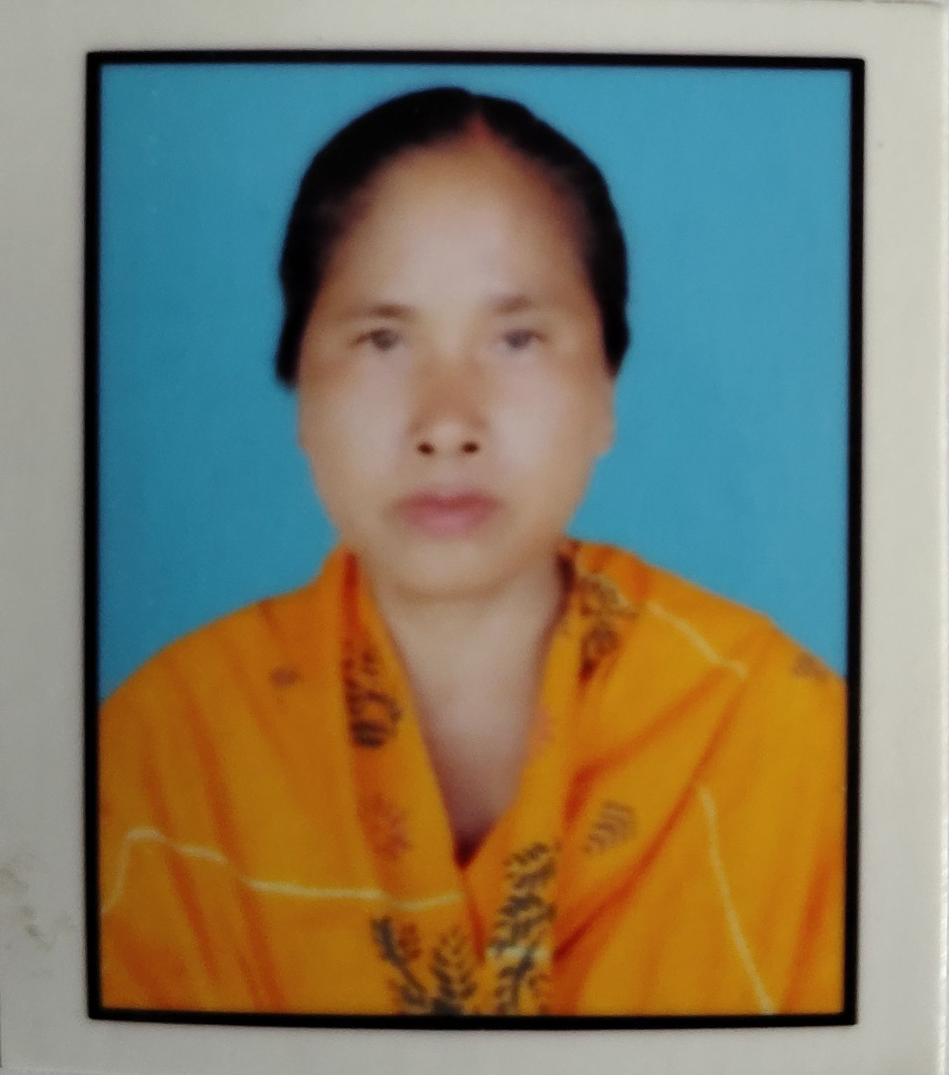 Banathi Boro