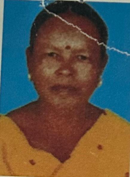 Minu Bala Mushahary