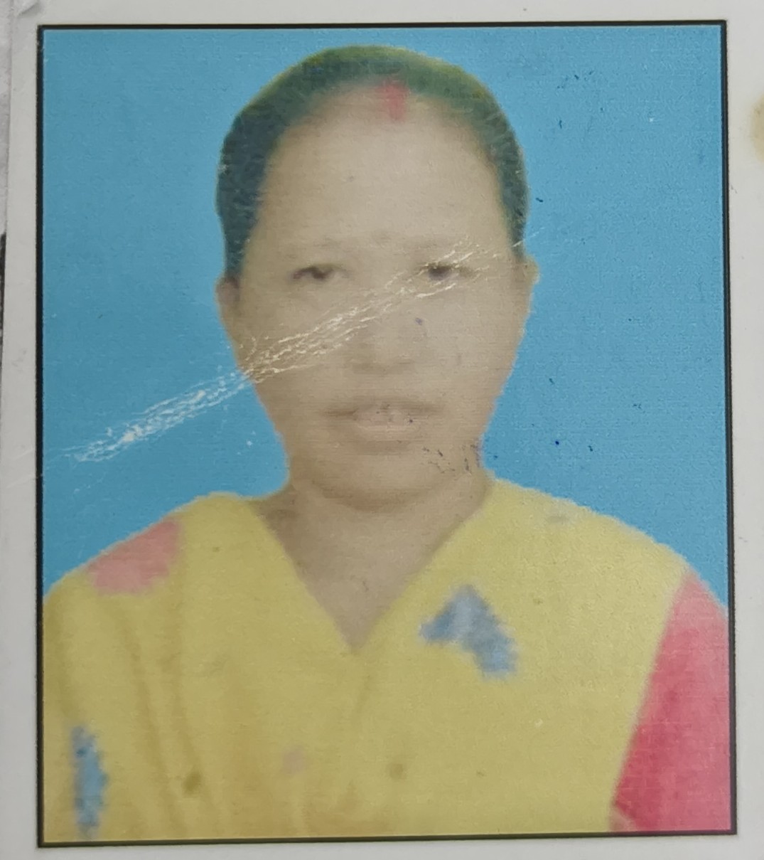Padmini Boro