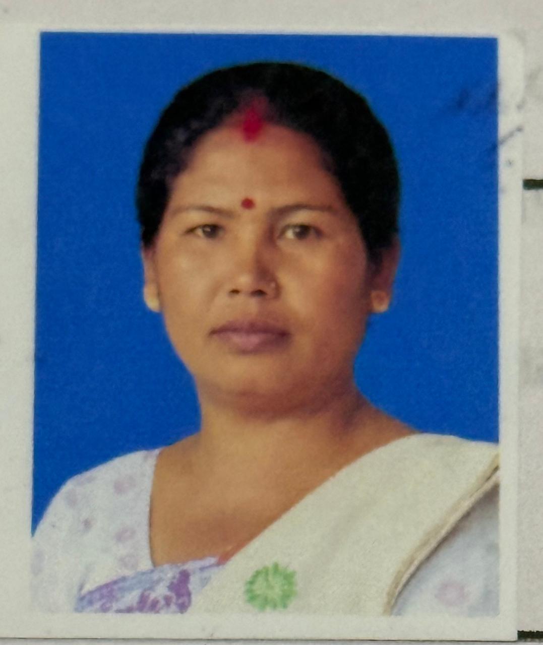 Parwati Boro