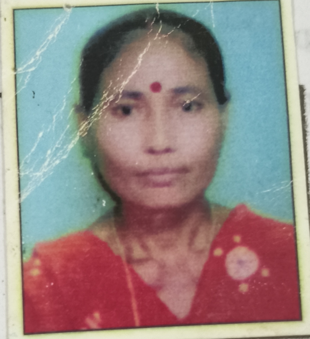 Podumi Boro