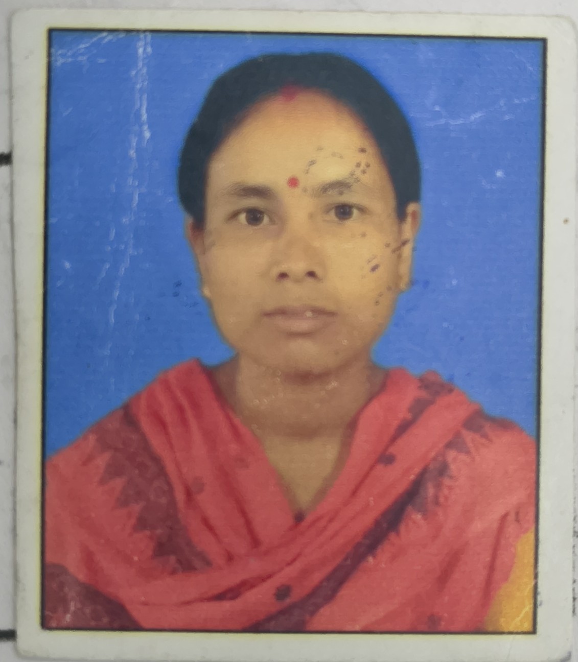 Pokhila Boro